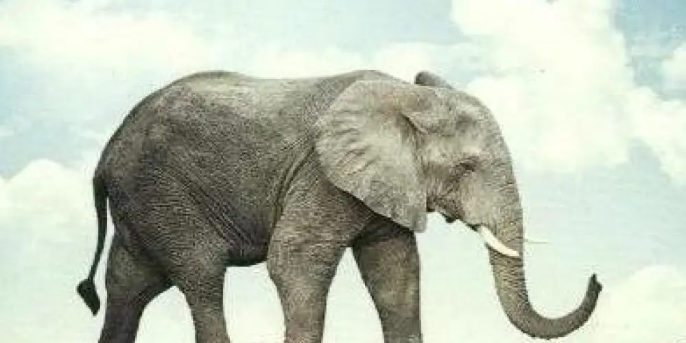 Imagem do grupo de WhatsApp Depressão e ansiedade