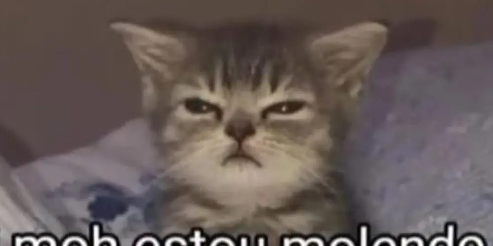 Imagem do grupo de WhatsApp Desabafos