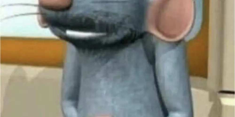 Imagem do grupo de WhatsApp DESCONTROLEM