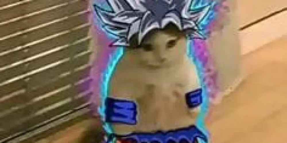 Imagem do grupo de WhatsApp Desempregados