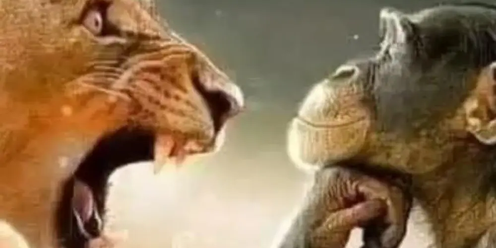 Imagem do grupo de WhatsApp Desgraçalandia