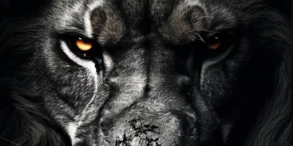 Imagem do grupo de WhatsApp Design Esportivo BR 🇧🇷