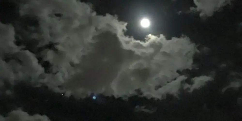 Imagem do grupo de WhatsApp Desocupados