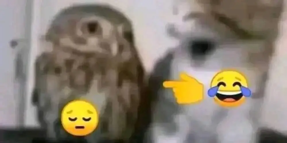 Imagem do grupo de WhatsApp Desocupados