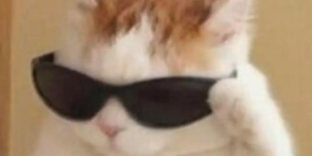 Imagem do grupo de WhatsApp Desperdicios de Oxígeno 2.0