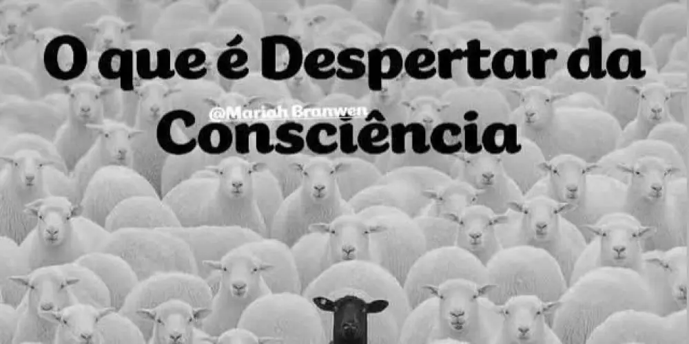 Imagem do grupo de WhatsApp Despertar da consciência