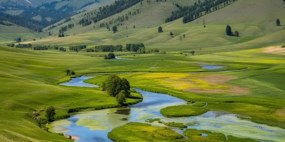 Imagem do grupo de WhatsApp Destino Feliz com Jesus