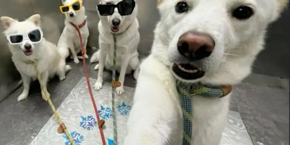 Imagem do grupo de WhatsApp DEU A LOKA NA TROPINHA ❤‍🔥