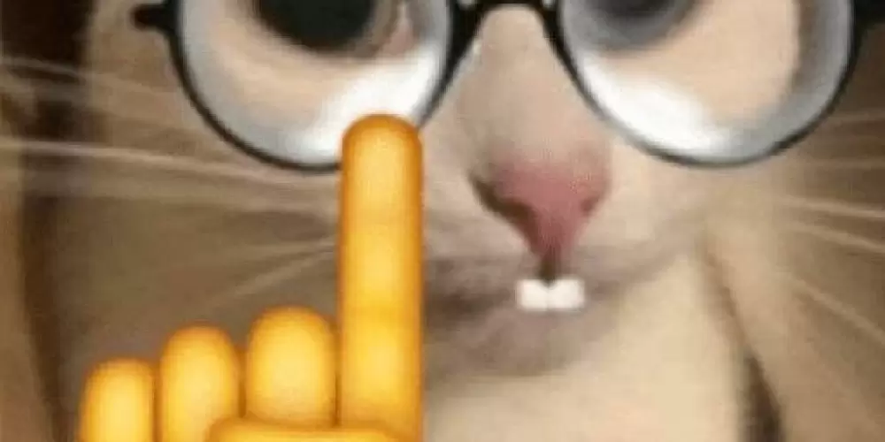 Imagem do grupo de WhatsApp Ð€ک€ŋЯØŁДÐØک😂😂