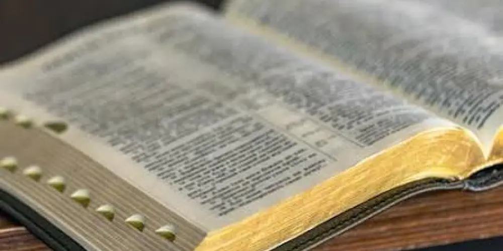 Imagem do grupo de WhatsApp Deus 🙏📖
