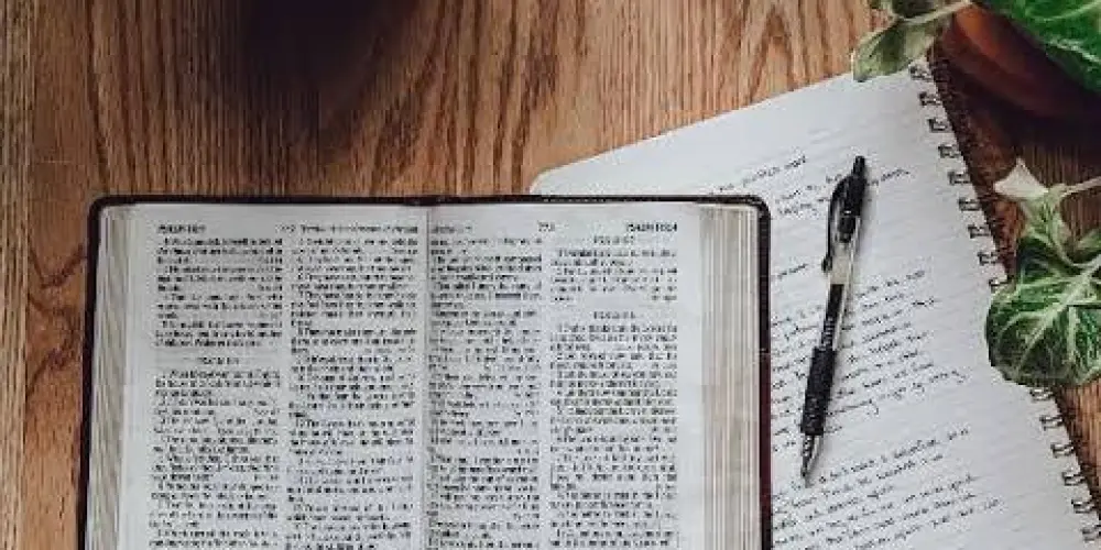 Imagem do grupo de WhatsApp Devocional 💡📔