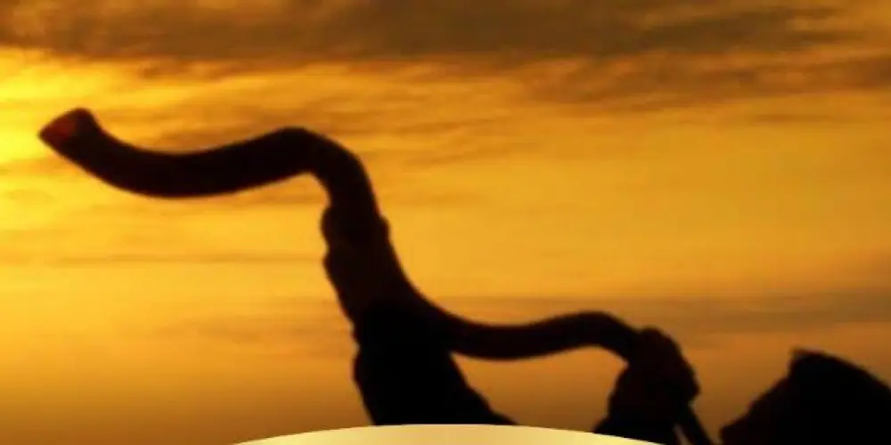 Imagem do grupo de WhatsApp Devocional e  pequenos Estudos Bíblicos do 🅰️ talaia.