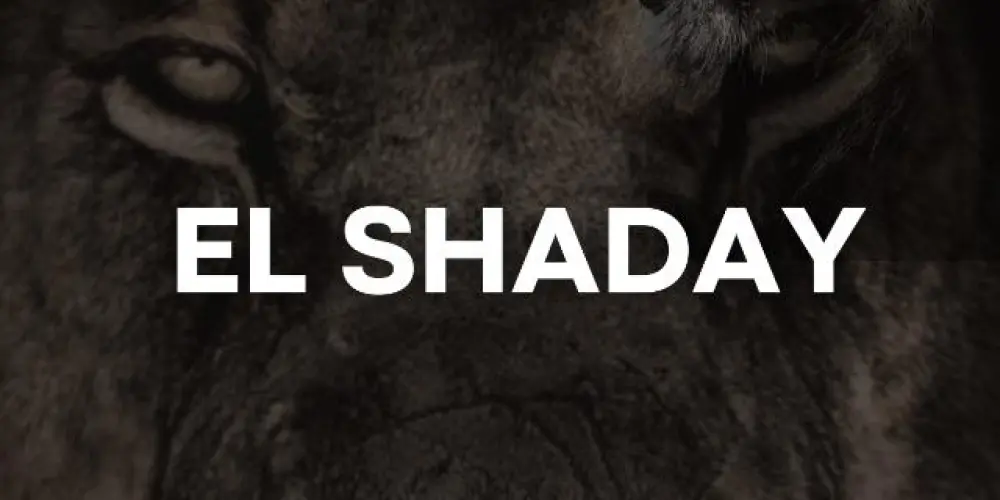 Imagem do grupo de WhatsApp Devocional El- Shaday