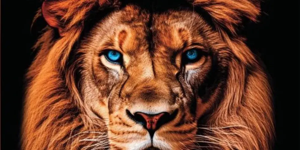 Imagem do grupo de WhatsApp ❗️Devocional & Louvores❗️