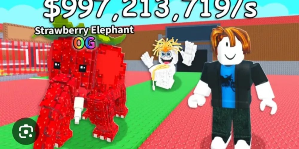 Imagem do grupo de WhatsApp DH TRADER!!