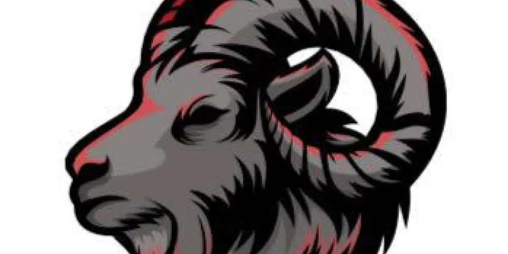 Imagem do grupo de WhatsApp DIÁRIO CBT