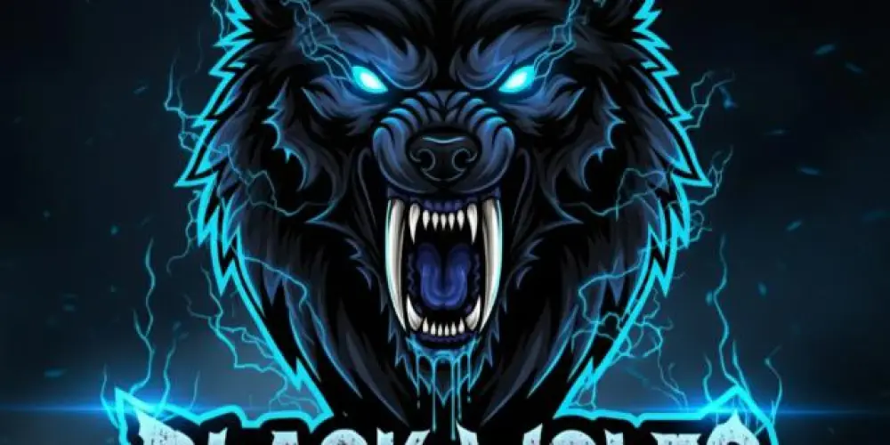 Imagem do grupo de WhatsApp Diário da BW