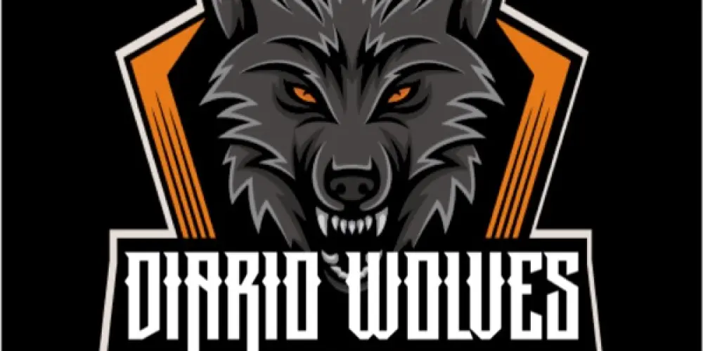 Imagem do grupo de WhatsApp Diário Wolves
