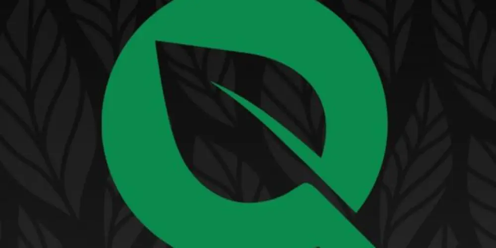 Imagem do grupo de WhatsApp DIARIOS DA FLY