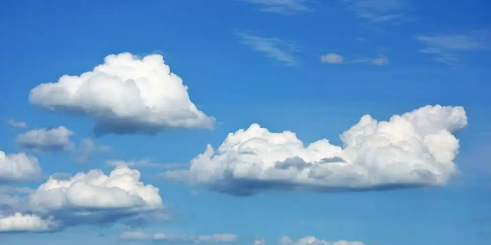 Imagem do grupo de WhatsApp Diga Não a Paranoia