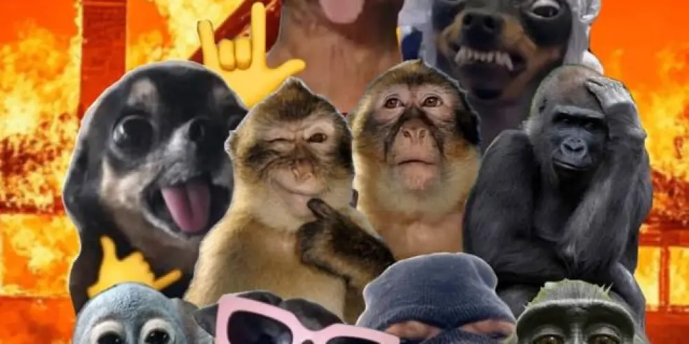 Imagem do grupo de WhatsApp Digitando...desde 2019