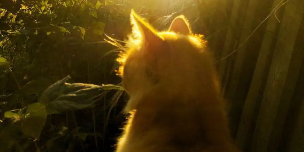 Imagem do grupo de WhatsApp ִ ࣪ ˖ ࣪ Dιgιtᥲᥒd᥆ ! ᰔ ִ ׄ