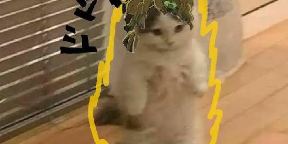 Imagem do grupo de WhatsApp DIOOOOOO