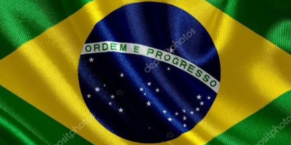 Imagem do grupo de WhatsApp DIREITA BRASILEIRA