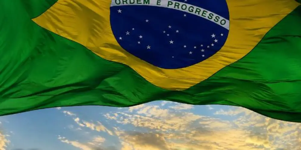 Imagem do grupo de WhatsApp DIREITA LIVRE