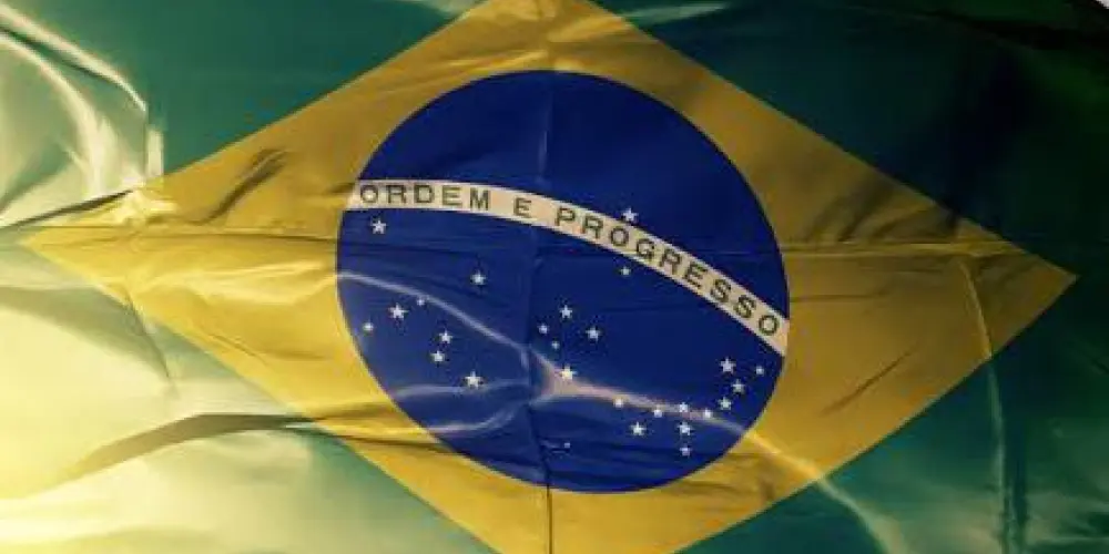 Imagem do grupo de WhatsApp Direita por diretos