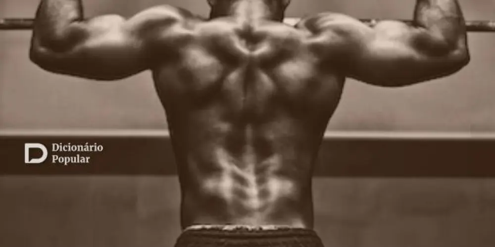 Imagem do grupo de WhatsApp Discipline and Focus