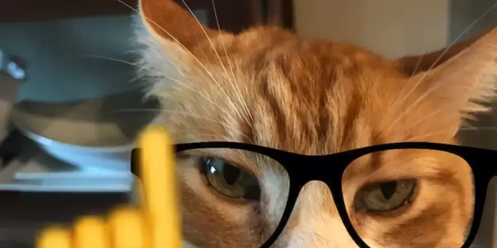 Imagem do grupo de WhatsApp Distrações casuais