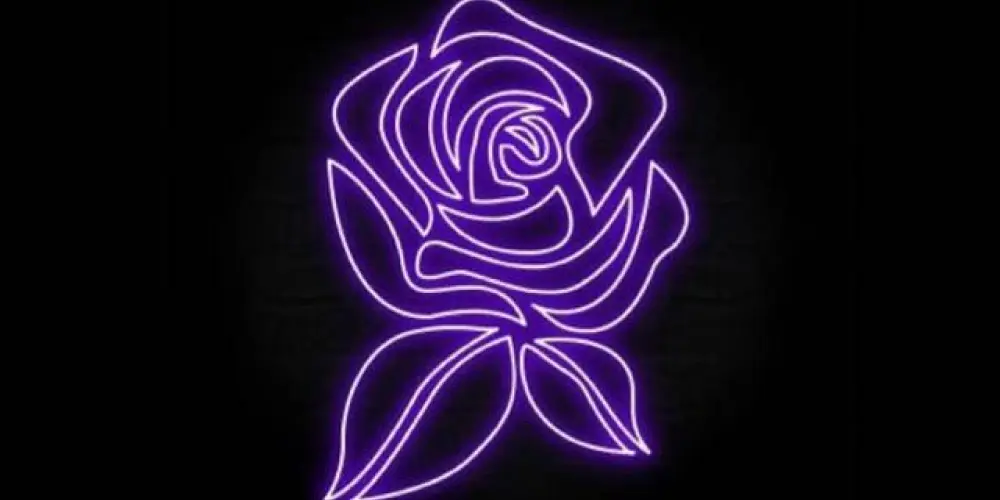 Imagem do grupo de WhatsApp DIV