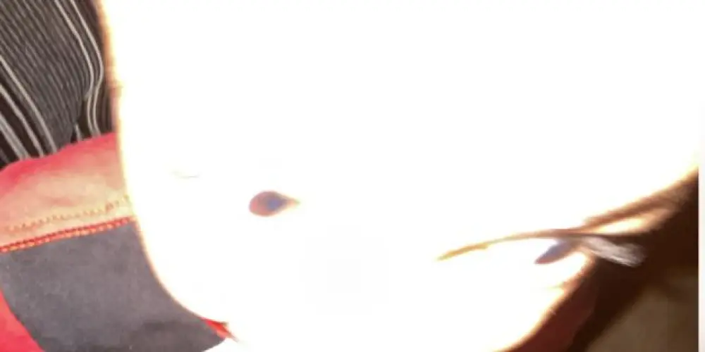 Imagem do grupo de WhatsApp Divas🎀🫦