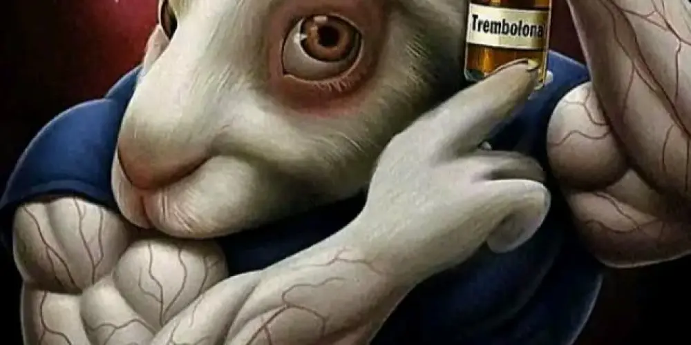 Imagem do grupo de WhatsApp Diversão a vontade