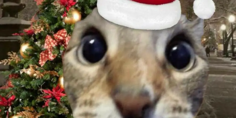 Imagem do grupo de WhatsApp Diversão sempre 🤣