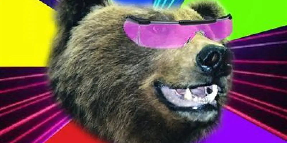 Imagem do grupo de WhatsApp Diversão total 🤡🤣