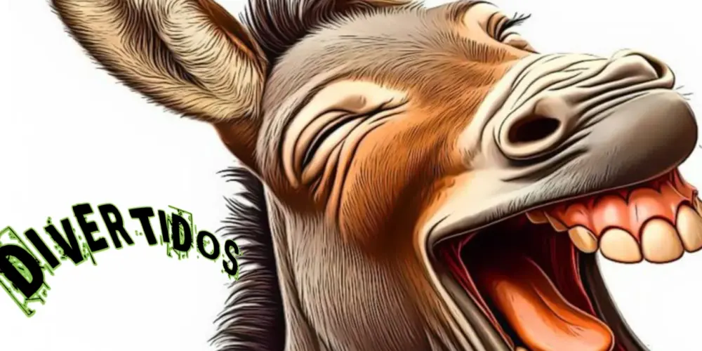 Imagem do grupo de WhatsApp Divertidos