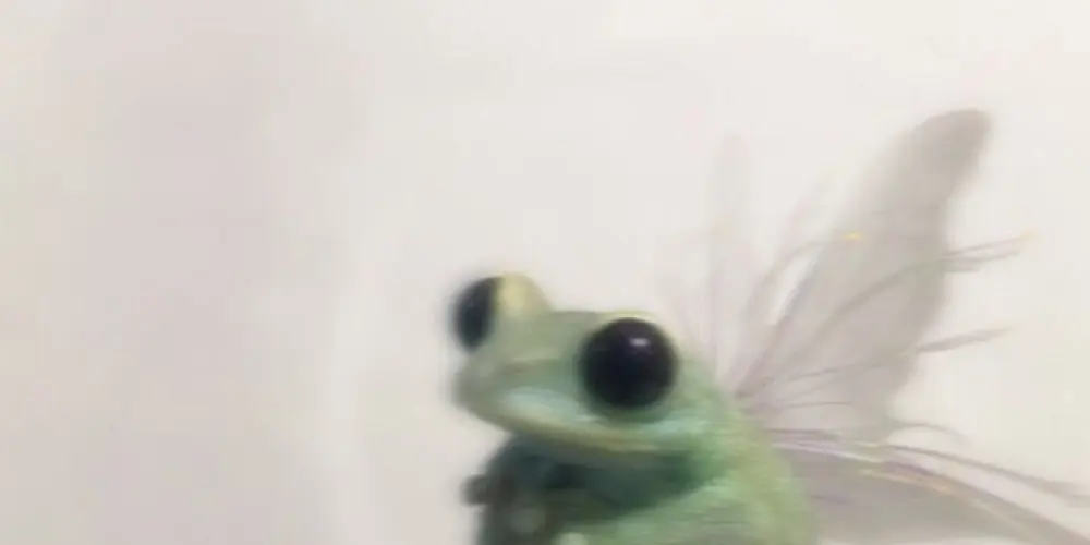 Imagem do grupo de WhatsApp 🏴‍☠️DIVUL🇮🇲