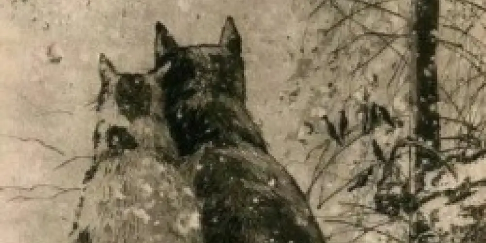 Imagem do grupo de WhatsApp DIVULGAÇÃO 24 HRS