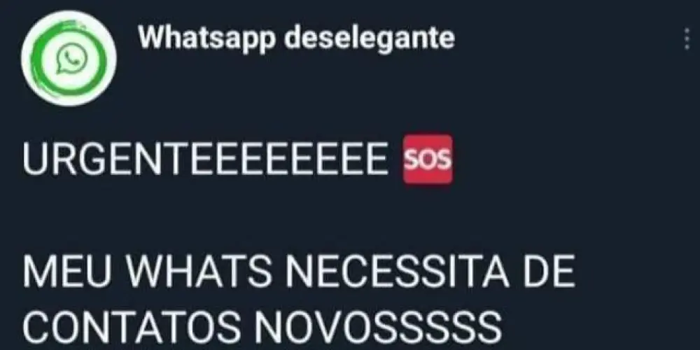Imagem do grupo de WhatsApp Divulgação 24Hrs