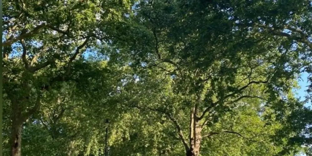 Imagem do grupo de WhatsApp Divulgação ✨