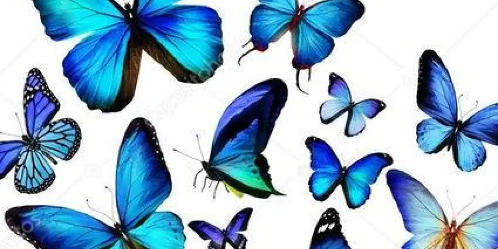 Imagem do grupo de WhatsApp 🎀 Divulgação de dailys 🎀