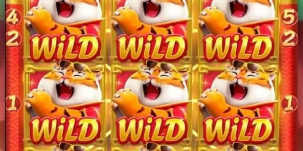 Imagem do grupo de WhatsApp Divulgação de plataformas pagantes🥳