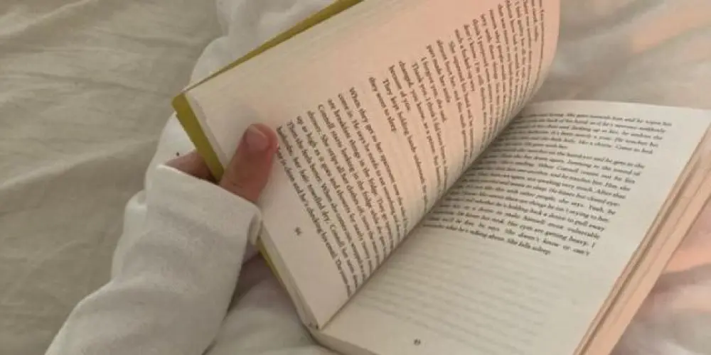 Imagem do grupo de WhatsApp Divulgando livros