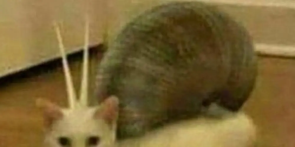 Imagem do grupo de WhatsApp =°°°Dix casos de família i=°°