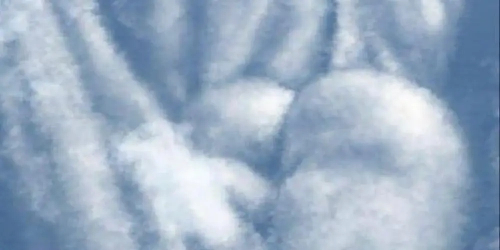 Imagem do grupo de WhatsApp Dls na veia💤