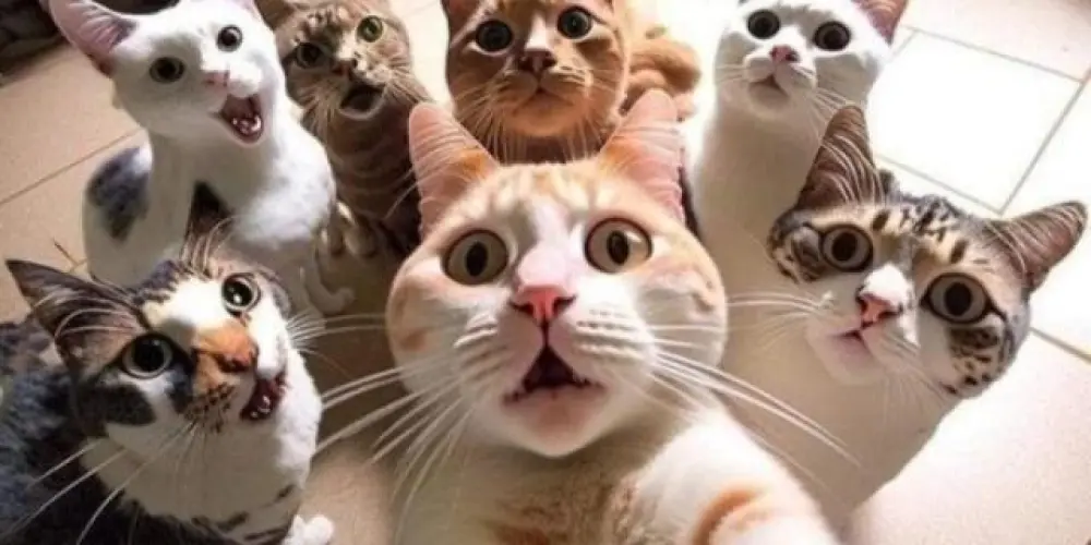Imagem do grupo de WhatsApp ﹫ΔΜƗŽΔĐ€Şﾠ么⁷⁷⁷