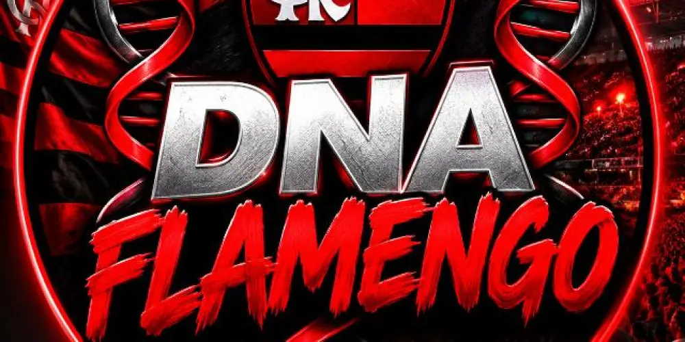 Imagem do grupo de WhatsApp ❤️🖤DNA DO FLAMENGO