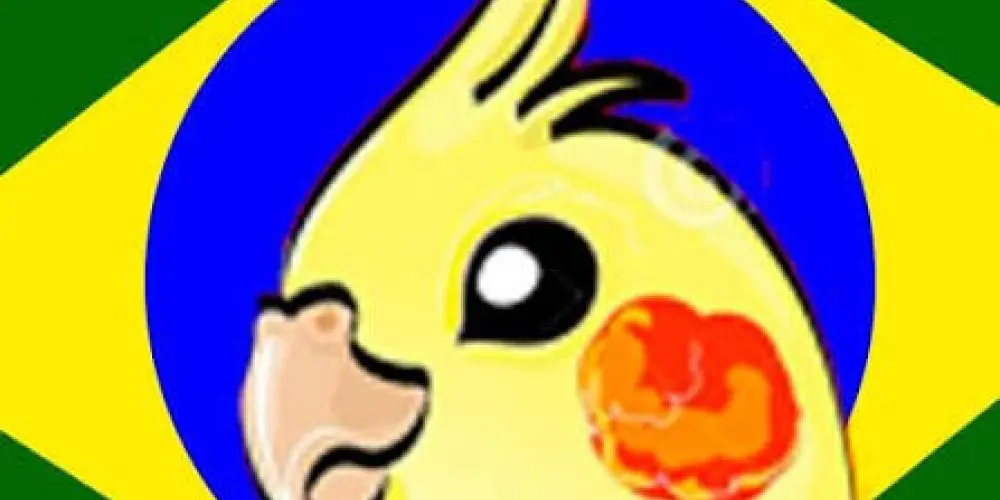 Imagem do grupo de WhatsApp Doa-se calopsita